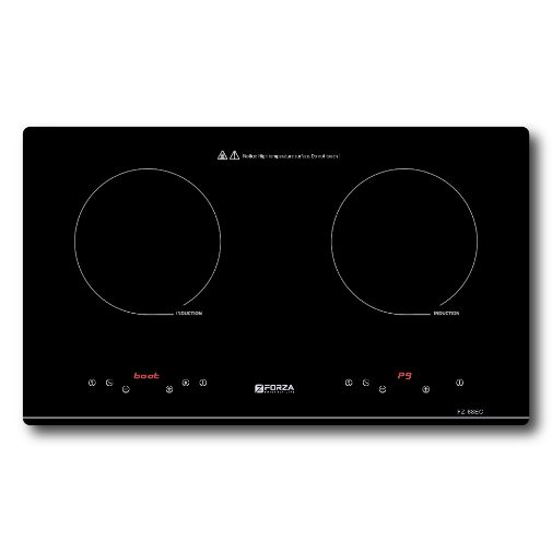 Bếp đôi 2 từ FZ-86EC